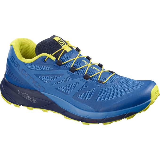 SALOMON SENSE RIDE Philippines - Men's Trail Running Shoes - Blue/Navy | 081326-QRK